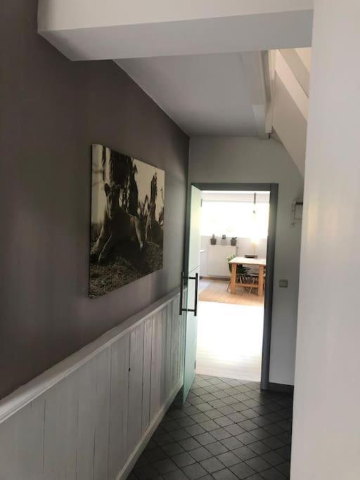 Grande Maison Cozy, Sud, 15 Min Spa Francorchamps 테욱스 외부 사진